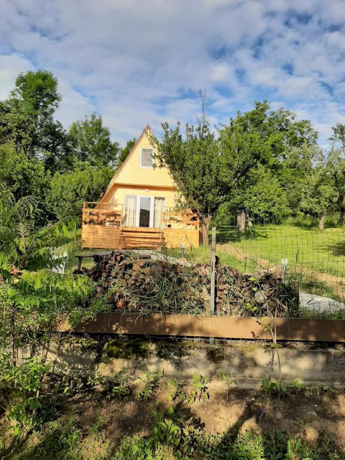 Cabana Din Livada Pucioasa Экстерьер фото