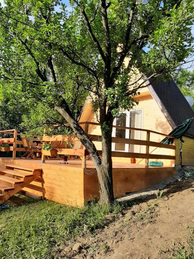 Cabana Din Livada Pucioasa Экстерьер фото